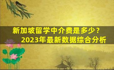 新加坡留学中介费是多少？ 2023年最新数据综合分析